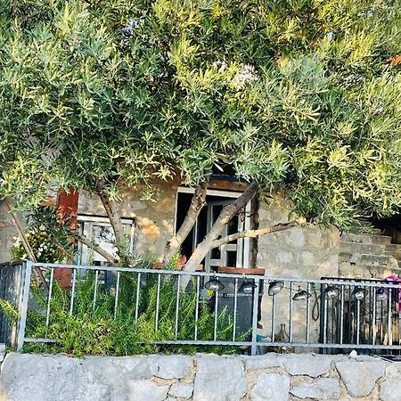 Villa Kuca Za Odmor “Dida” à Stinica Extérieur photo