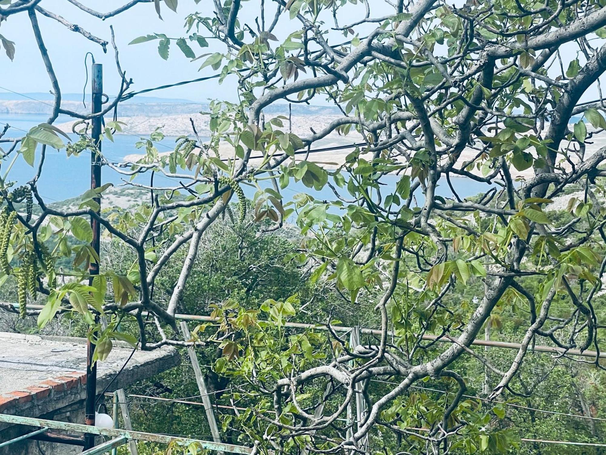 Villa Kuca Za Odmor “Dida” à Stinica Extérieur photo