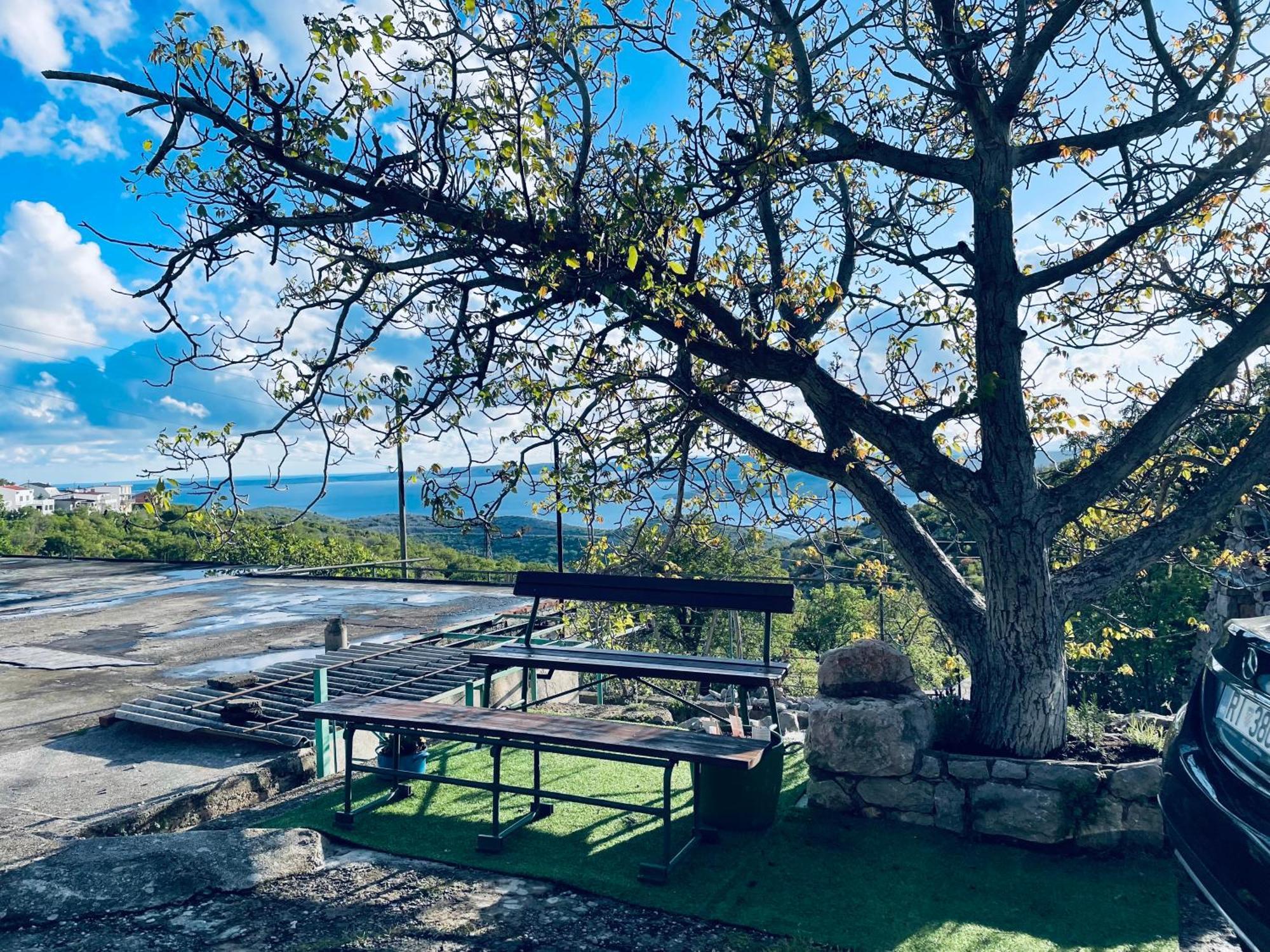 Villa Kuca Za Odmor “Dida” à Stinica Extérieur photo