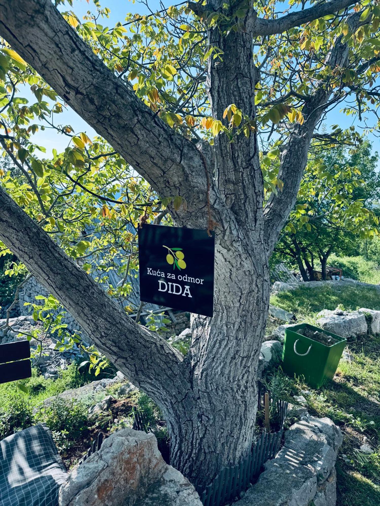 Villa Kuca Za Odmor “Dida” à Stinica Extérieur photo