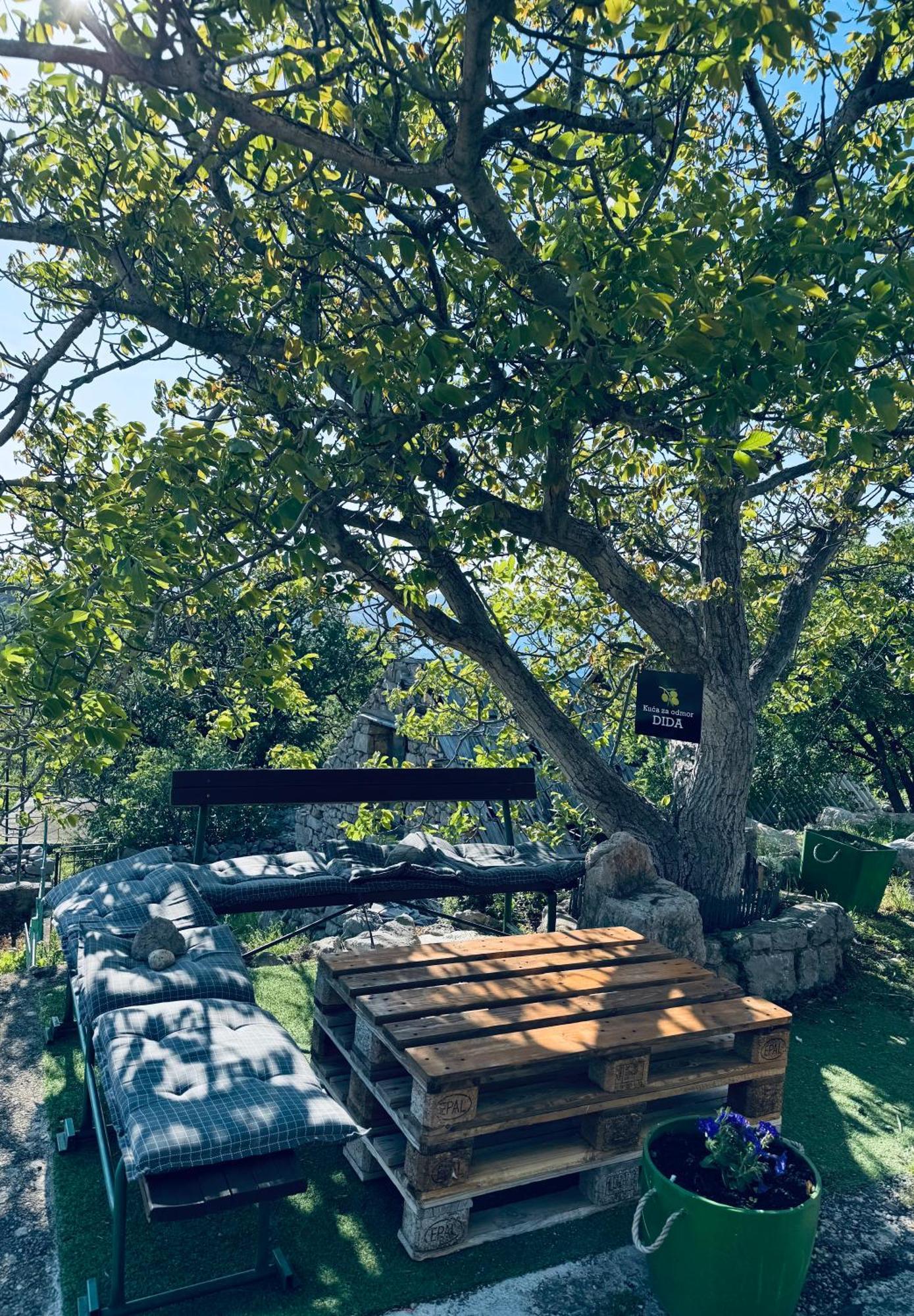 Villa Kuca Za Odmor “Dida” à Stinica Extérieur photo